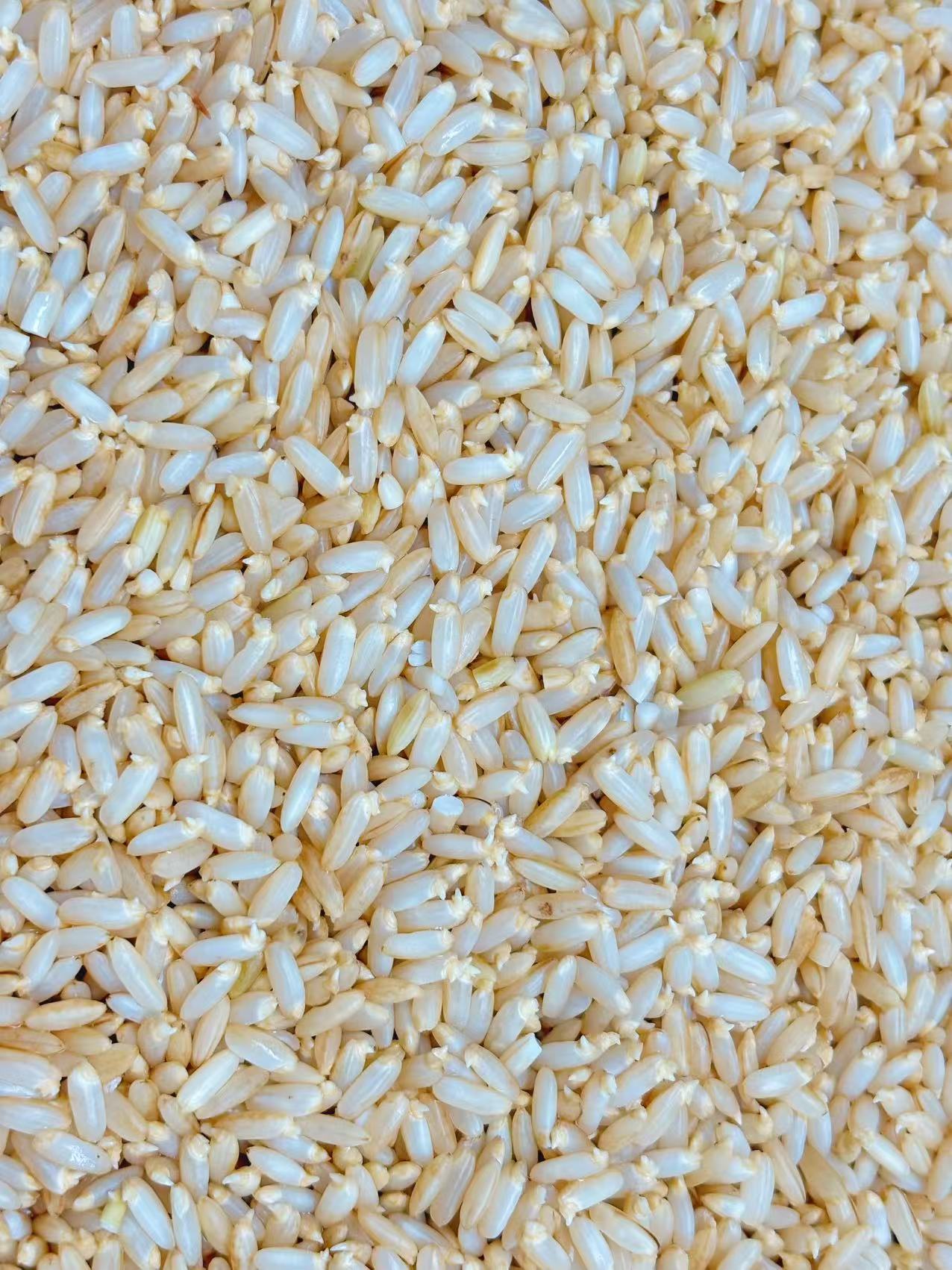 某大型食品企业